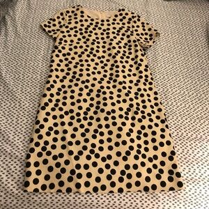J Crew Polka Dot Sheath Dress